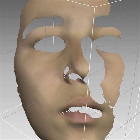 rapidform 2004 with the software uwcm 3d facial in use download scientific diagram