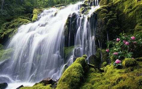 Free Download Windows 7 Waterfall Wallpaper 265338 1920x1200 For Your