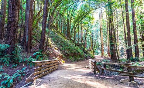 Hiking Trails Near Me How To Find The Best Local Hikes Hiker Time