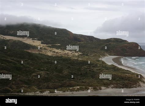 Sandfly Bay Otago Peninsula Dunedin New Zealand A Sand Dune Beech Landscape View Where You
