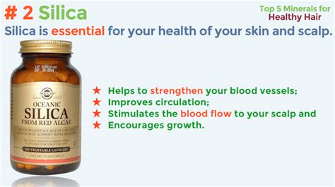 Systemic enzymes can increase hair growth because these enzymes improve blood flow and clear out your blood from impurities. Top 5 minerals to promote healthy hair growth and prevent ...