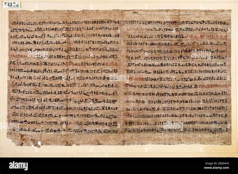 Egypt Handwriting Hieratic Papyrus 24 X 40 Cm Stock Photo Alamy