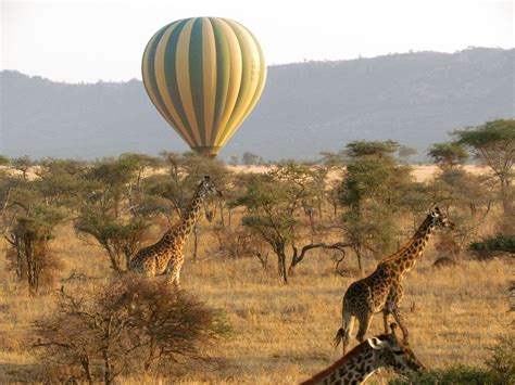 Best Things To Do In Serengeti National Park Amazing Places