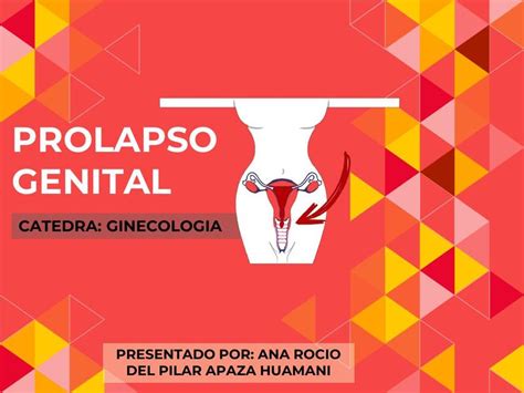 Prolapso de órganos pélvicos Prolapso genital Prolapso órganos