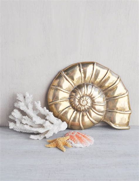 Vintage Brass Nautilus Shell Metal Seashell Nautical Wall Etsy