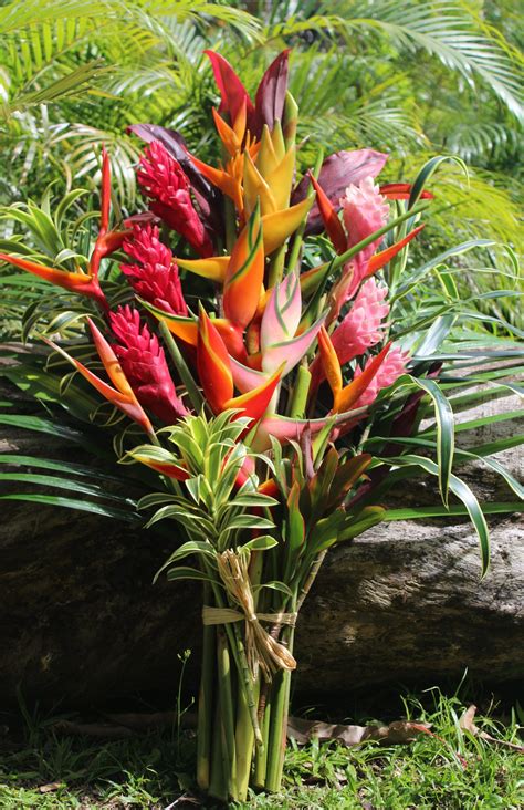 For the best, freshest flowers, best flowers worldwide has exactly what you're looking for. Home Page | Tropical Flowers & Bouquets of Hawaii