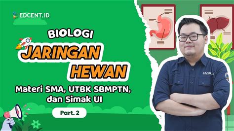 Materi JARINGAN HEWAN Materi SMA SIMAK UI Dan Perkuliahan Part 2