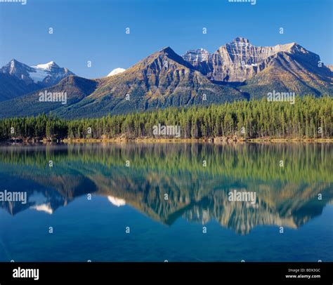 Herbert Lake Banff National Park Alberta Canada Stock Photo Alamy