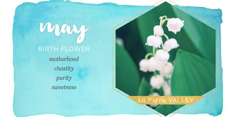 know all about may birth flower