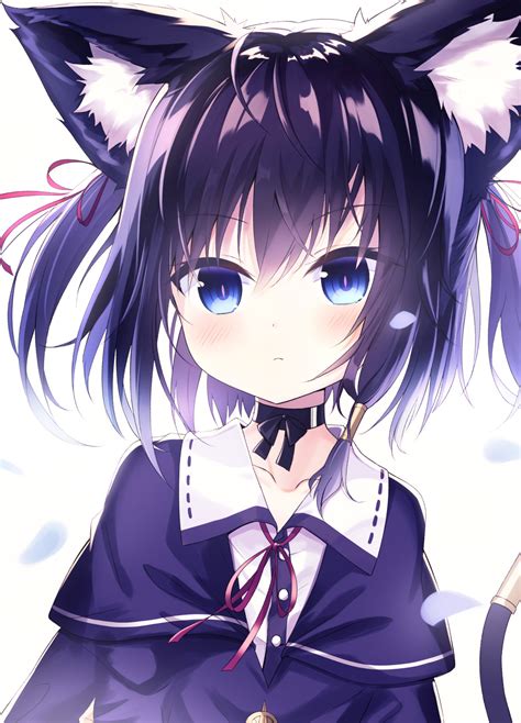 Cute Little Catgirl Original Awwnime 66c