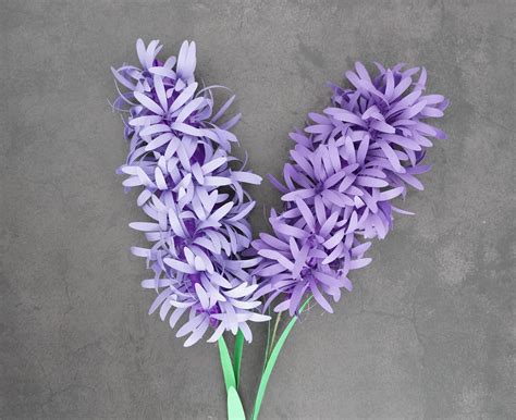 Paper Hyacinth Flower