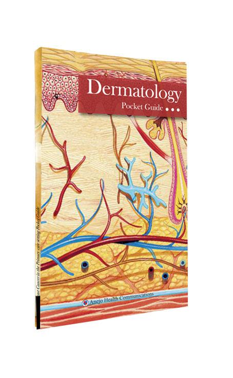Dermatology Pocket Guide Anejo
