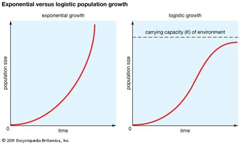 Lag phase, exponential phase, stationary phase, and death. carrying capacity | biology | Britannica.com