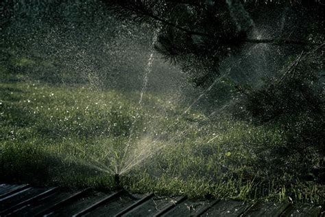 No More Water 5 Signs You Are Overwatering Your Lawn