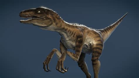 Do Velociraptors Have Genders That Are Like Xenomorphs Quora