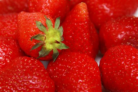 Strawberry Background Free Stock Photo Public Domain Pictures
