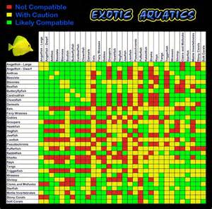 Fish Compatibility Chart Exotoc Aquatics salt water fish, corals 