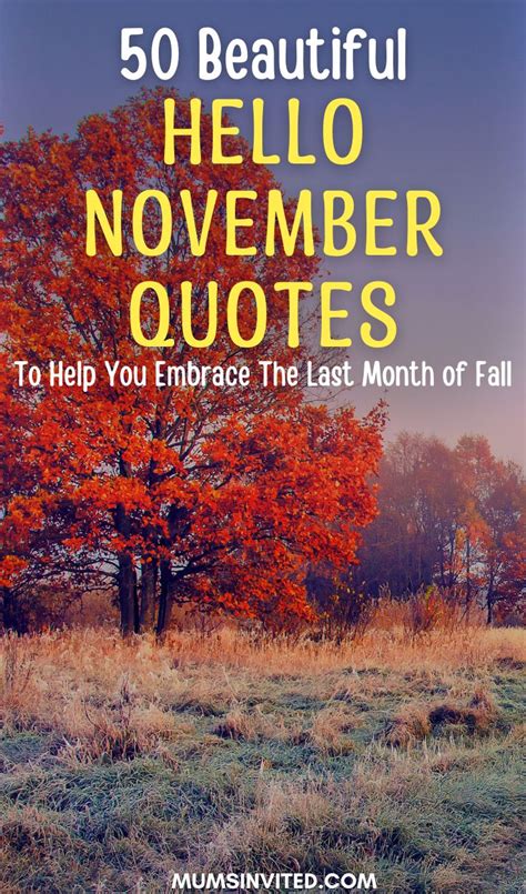 The Words 50 Beautiful Hello November Quotes To Help You Embrace The