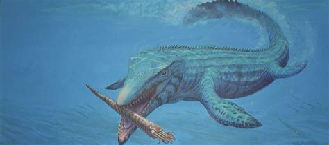Mosasaur Marine Lizard Kaiserscience