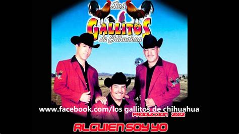 Los Gallitos De Chihuahua Alguien Soy Yo 2012wmv Youtube