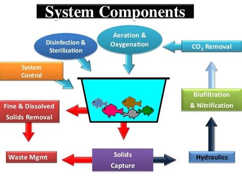 RECIRCULATORY AQUACULTURE SYSTEM