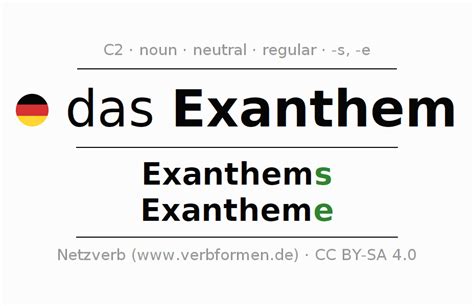 Declension German Exanthem All Cases Of The Noun Plural Article