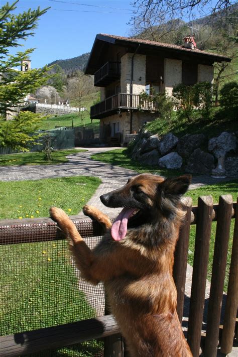 Ferienhäuser — ungewöhnlich und ungewöhnlich schön. Ferienhaus Giulia mit eingezäunten Garten am Ledrosee ...
