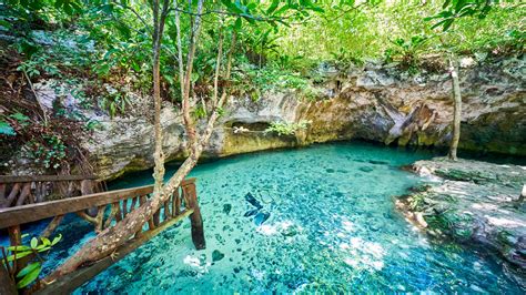 The Complete Guide To Cenote Hopping In Tulum Bookaway