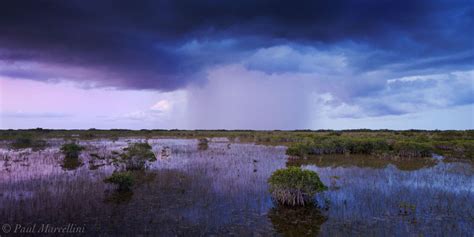 Mangrove Monsoon Everglades National Park Florida Florida