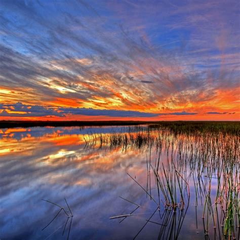 Situated in chokoloskee, this cabin is 1.9 mi (3.1 km) from everglades national park and within 6 mi (10 km) of gulf coast visitor center and everglades city hall. Everglades | National Park Foundation