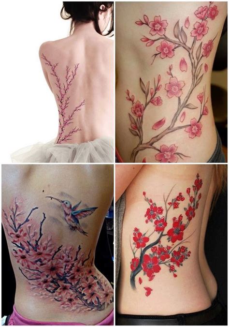 Best Cherry Blossom Tattoo Designs Ideas Tatuagem De Flores Para