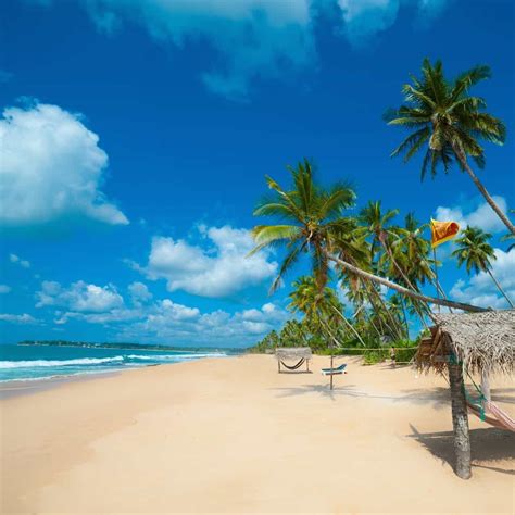 Sri Lanka Beaches 101 Singles Holidays