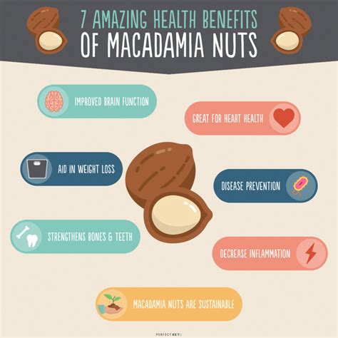 Macadamia Nuts Nutrition 7 Health Benefits Macadamia Nuts Nutrition