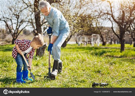 Дедушка и ребенок сажают вместе дерево — Стоковое фото © Dmyrto_Z ...