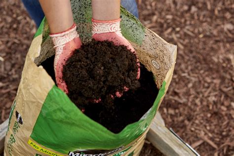 Best Raised Bed Soil 2021 Review