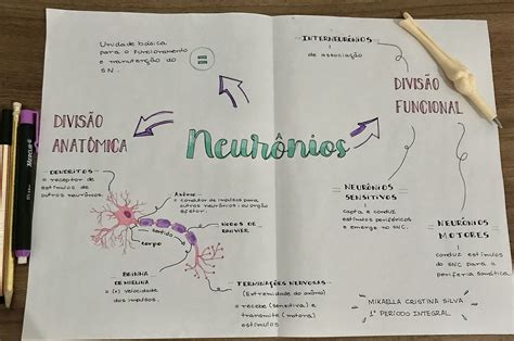 Mapa Mental Parte 2 Sistema Nervoso NeurÔnios 🧠 Mapa Mental