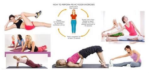 An Overview Of Pelvic Floor Exercises Mcm Outlet