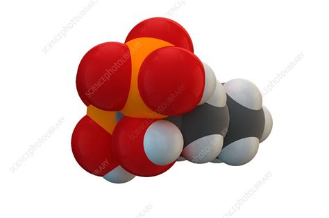 Alendronic Acid Osteoporosis Drug Molecule Stock Image F0179512