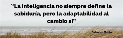 70 Frases Sobre Adaptarse A Los Cambios Expande Tu Mente