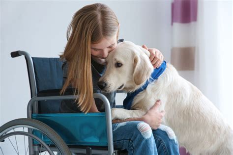 Guide To Pet And Animal Therapy For Kids With Disabilities