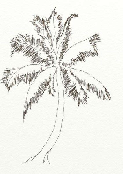 59 Ideas For Coconut Tree Drawing Tropical Coconut Tree Drawing