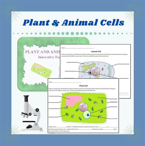 Check spelling or type a new query. Plant and Animal Cells | Middle school science activities ...
