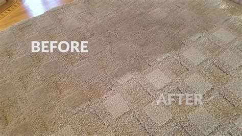 What carpet cleaning method is best? Professional Carpet Cleaning Bristolville Ohio - YouTube