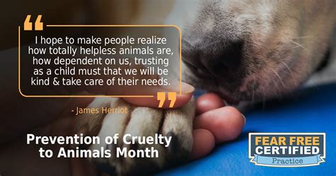 Prevention-of-Cruelty-to-Animals-Month-CP | Fear Free Pets