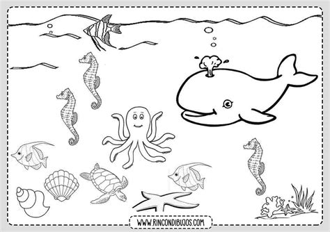 Dibujo De Los Animales Del Mar Rincon Dibujos