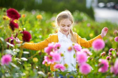 Cute Little Girl Playing In Blossoming Dahlia Field Child Picking