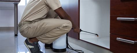 All about boynton beach carpet cleaning you simply can not fail by picking us for any or all your carpet cleaning demands! The Pest Control Professionals for Commerical Property ...