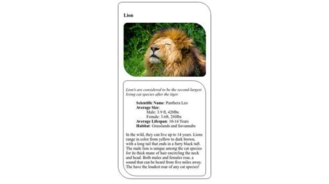 Animal Trading Card Lion