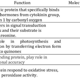 Shah fahad , ali a. | Interaction of RRP1 with ABI1 in Arabidopsis and the ...