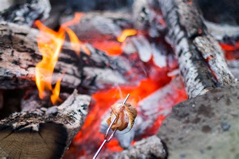 what to know about cooking over a fire pit the kitchn